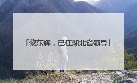 黎东辉，已任湖北省领导