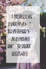 黑龙江省台联举办“粽香迎端午·龙台情相融”交流联谊活动