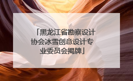 黑龙江省勘察设计协会冰雪创意设计专业委员会揭牌