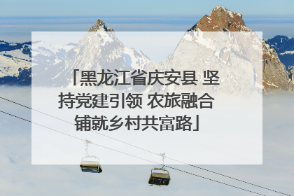 黑龙江省庆安县 坚持党建引领 农旅融合铺就乡村共富路
