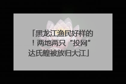 黑龙江渔民好样的！两地两只“投网”达氏鳇被放归大江