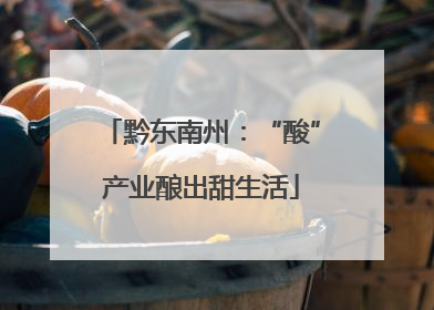 黔东南州：“酸”产业酿出甜生活