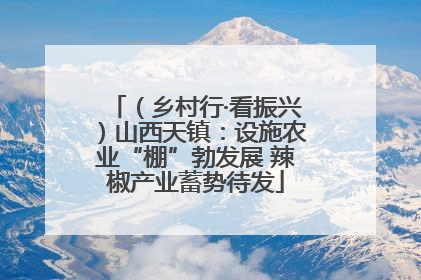 （乡村行·看振兴）山西天镇：设施农业“棚”勃发展 辣椒产业蓄势待发