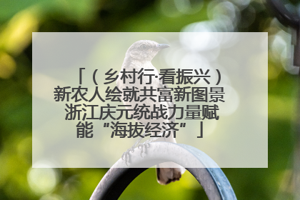 （乡村行·看振兴）新农人绘就共富新图景 浙江庆元统战力量赋能“海拔经济”