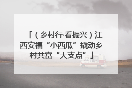（乡村行·看振兴）江西安福“小西瓜”撬动乡村共富“大支点”
