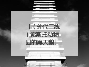 （外代二线）索斯托动物园的黑天鹅
