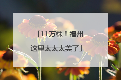 11万株！福州这里太太太美了