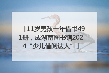 11岁男孩一年借书491册，成湖南图书馆2024“少儿借阅达人”
