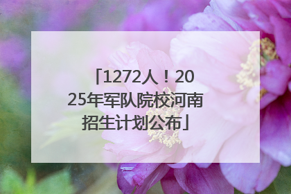 1272人！2025年军队院校河南招生计划公布