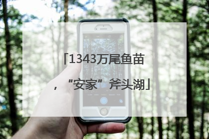 1343万尾鱼苗，“安家”斧头湖