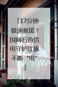 17分钟极速救援！国网石首供电守护江豚不断“电”