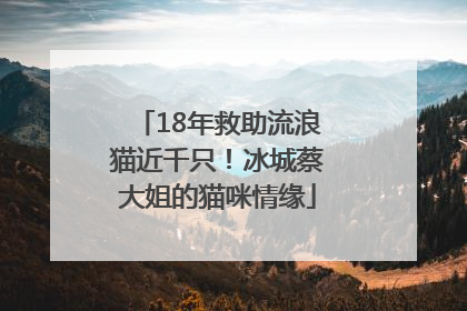 18年救助流浪猫近千只！冰城蔡大姐的猫咪情缘
