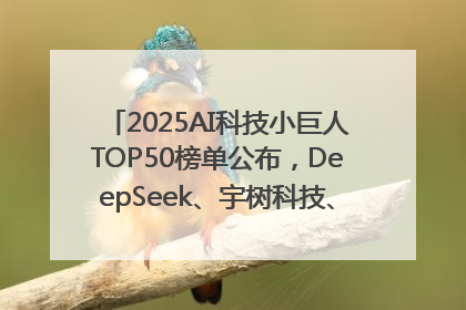 2025AI科技小巨人TOP50榜单公布，DeepSeek、宇树科技、蘑菇车联等企业荣誉上榜