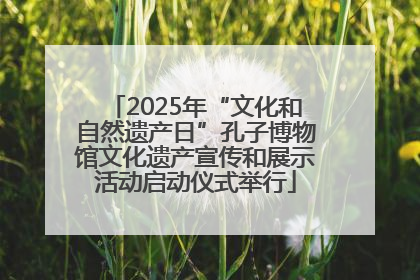 2025年“文化和自然遗产日”孔子博物馆文化遗产宣传和展示活动启动仪式举行