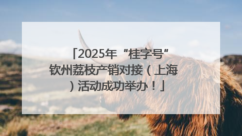 2025年“桂字号”钦州荔枝产销对接（上海）活动成功举办！