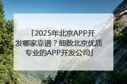 2025年北京APP开发哪家靠谱？细数北京优质专业的APP开发公司