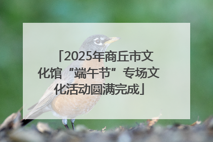 2025年商丘市文化馆“端午节”专场文化活动圆满完成