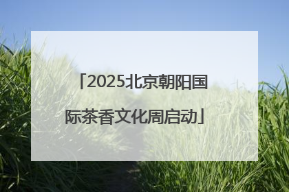 2025北京朝阳国际茶香文化周启动
