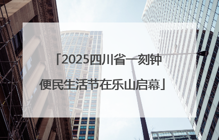 2025四川省一刻钟便民生活节在乐山启幕