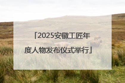 2025安徽工匠年度人物发布仪式举行