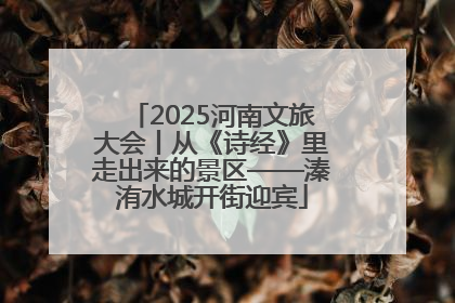 2025河南文旅大会丨从《诗经》里走出来的景区——溱洧水城开街迎宾