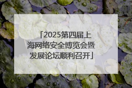 2025第四届上海网络安全博览会暨发展论坛顺利召开