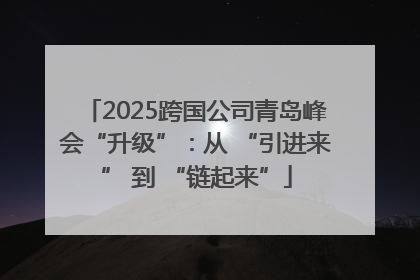 2025跨国公司青岛峰会“升级”：从 “引进来” 到 “链起来”