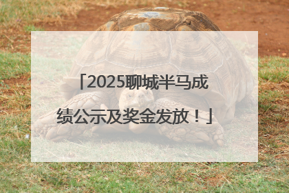 2025聊城半马成绩公示及奖金发放！
