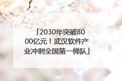 2030年突破8000亿元！武汉软件产业冲刺全国第一梯队