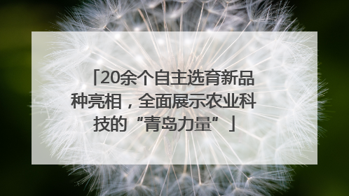 20余个自主选育新品种亮相，全面展示农业科技的“青岛力量”