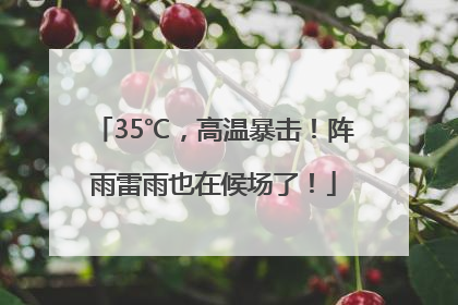 35℃，高温暴击！阵雨雷雨也在候场了！