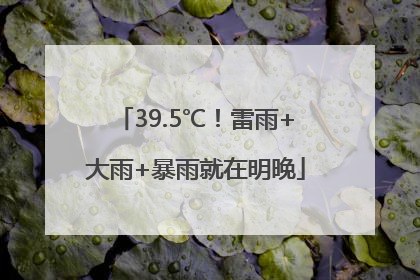 39.5℃！雷雨+大雨+暴雨就在明晚