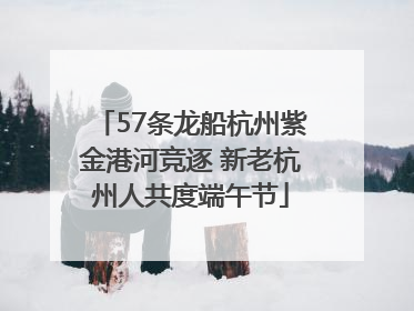 57条龙船杭州紫金港河竞逐 新老杭州人共度端午节
