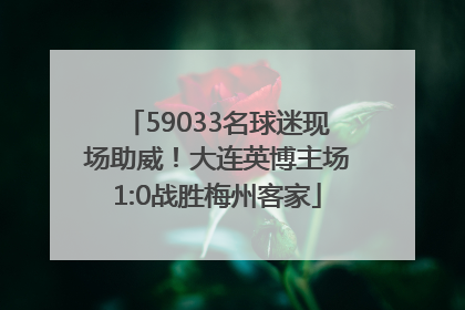 59033名球迷现场助威！大连英博主场1:0战胜梅州客家