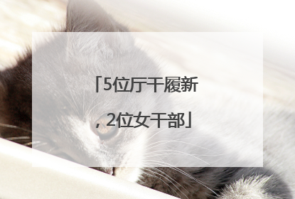 5位厅干履新，2位女干部