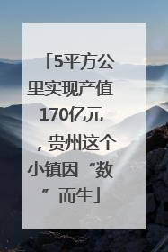 5平方公里实现产值170亿元，贵州这个小镇因“数”而生