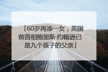 60岁再添一女，英国前首相鲍里斯·约翰逊已是九个孩子的父亲