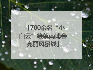 700余名“小白云”绘就南博会亮丽风景线