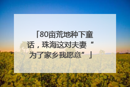 80亩荒地种下童话，珠海这对夫妻“为了家乡我愿意”