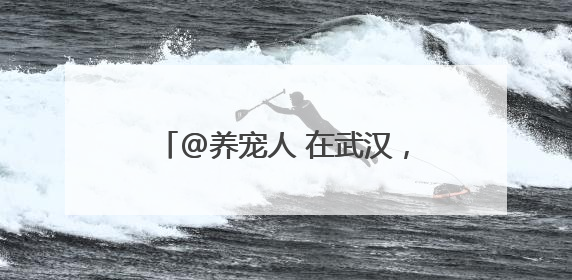 @养宠人 在武汉，宠物也可以坐高铁了