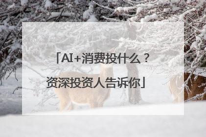 AI+消费投什么？资深投资人告诉你