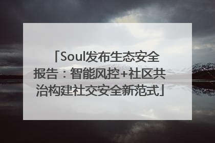 Soul发布生态安全报告：智能风控+社区共治构建社交安全新范式