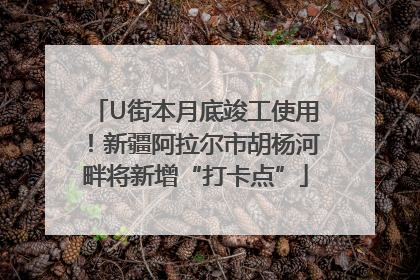 U街本月底竣工使用！新疆阿拉尔市胡杨河畔将新增“打卡点”